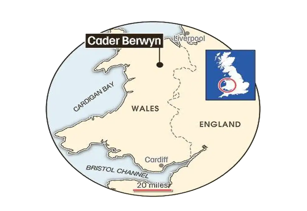 האירוע בהרי ברווין, וולס